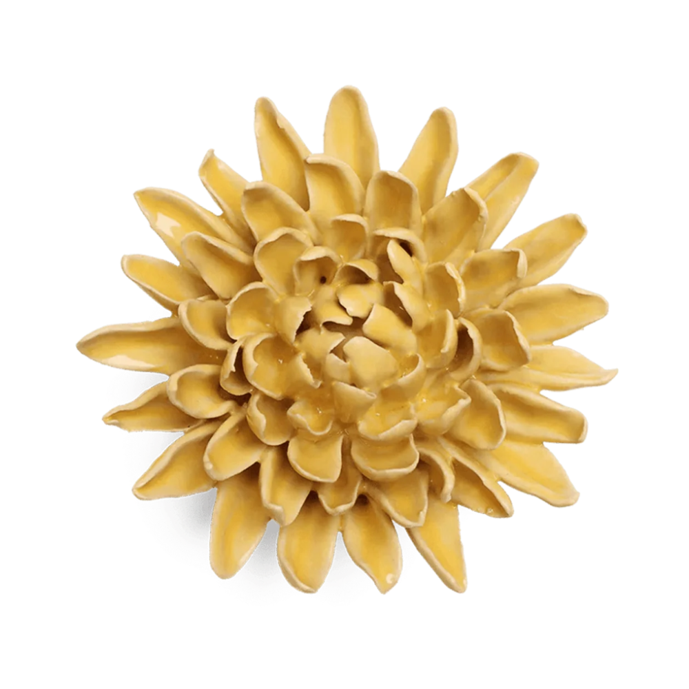 Buttercup Yellow Chrysanthemum