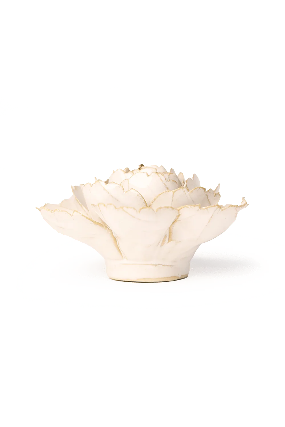 Ivory English Rose
