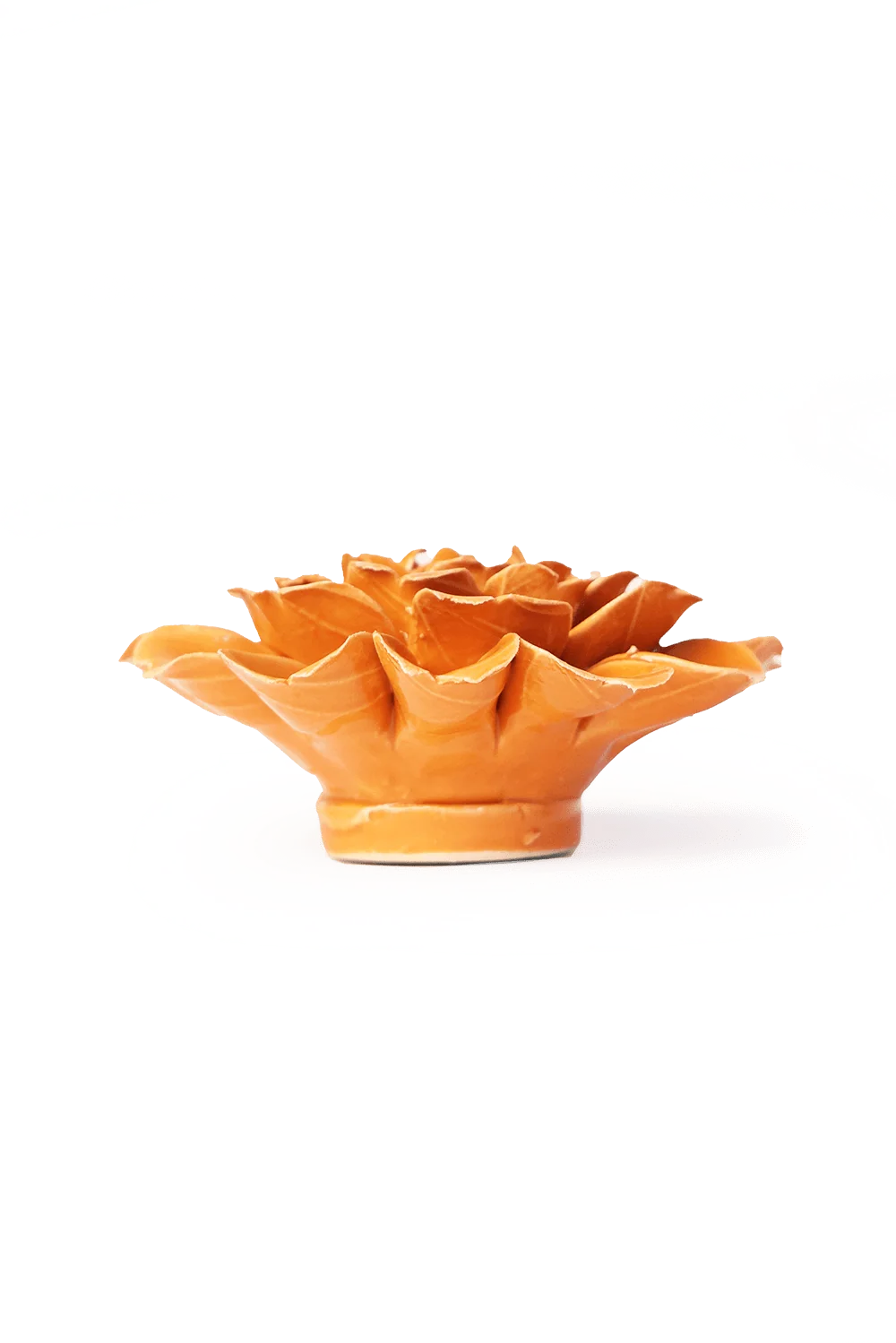 Orange Fiesta Marigold
