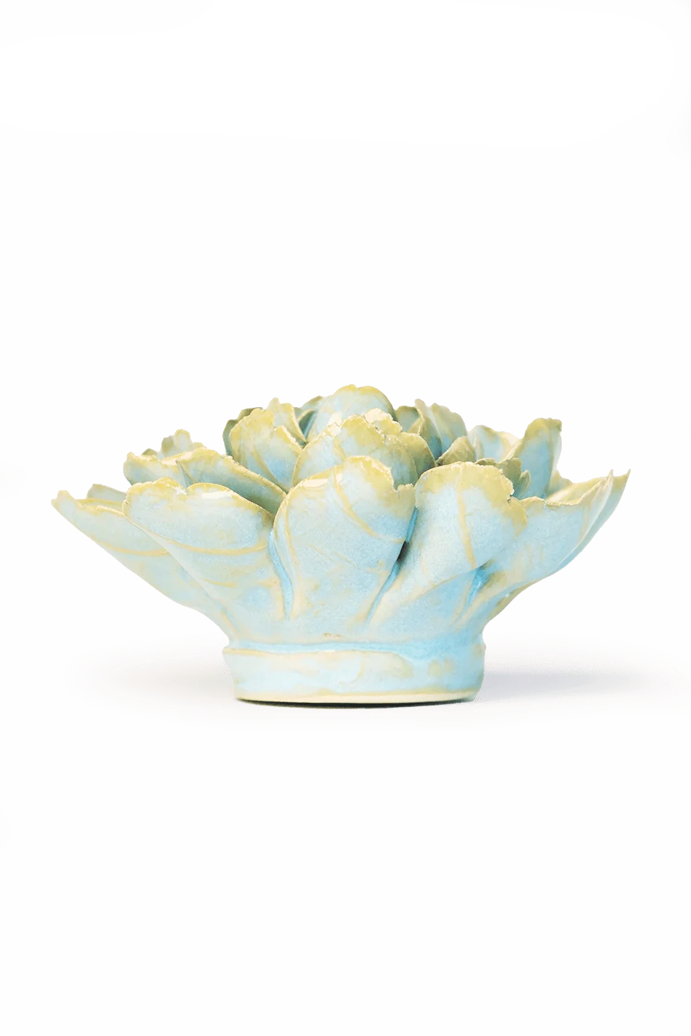 Robin's Egg Blue Marigold