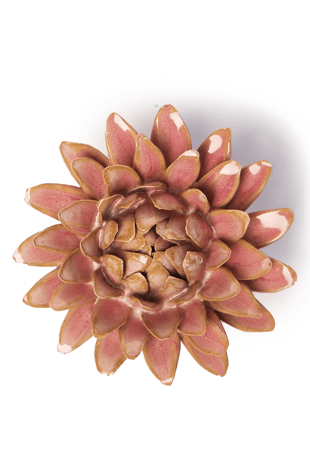 Rose Quartz Pink Strawflower
