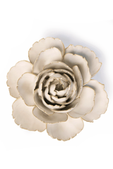 Ivory English Rose
