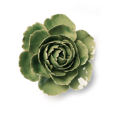 Jade English Rose ceramic flower