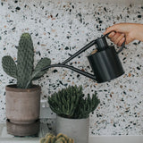 Fazeley Flow watering can (Graphite)
