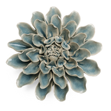 Powder Blue Aphrodite Dahlia