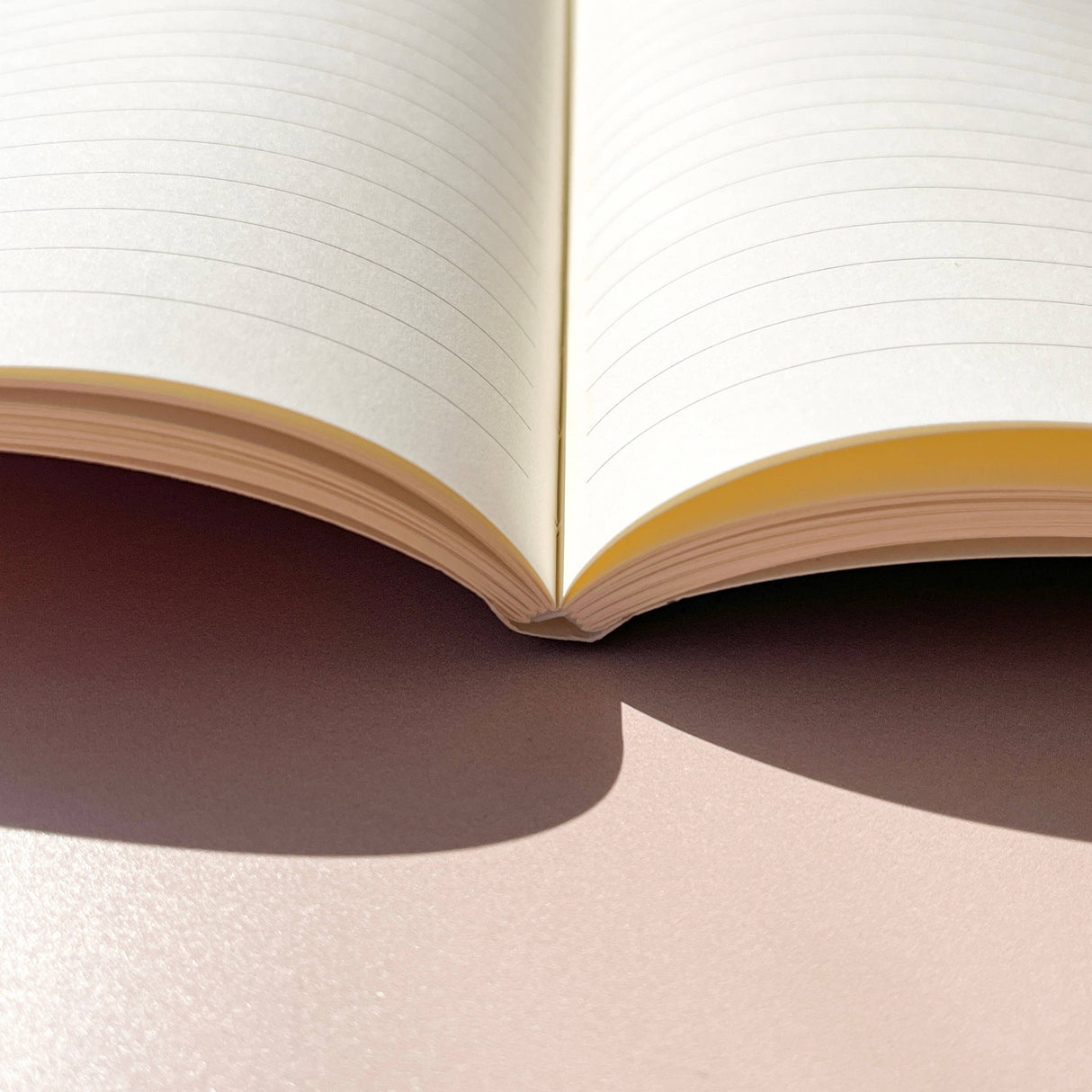 Lined notebook (Paloma)
