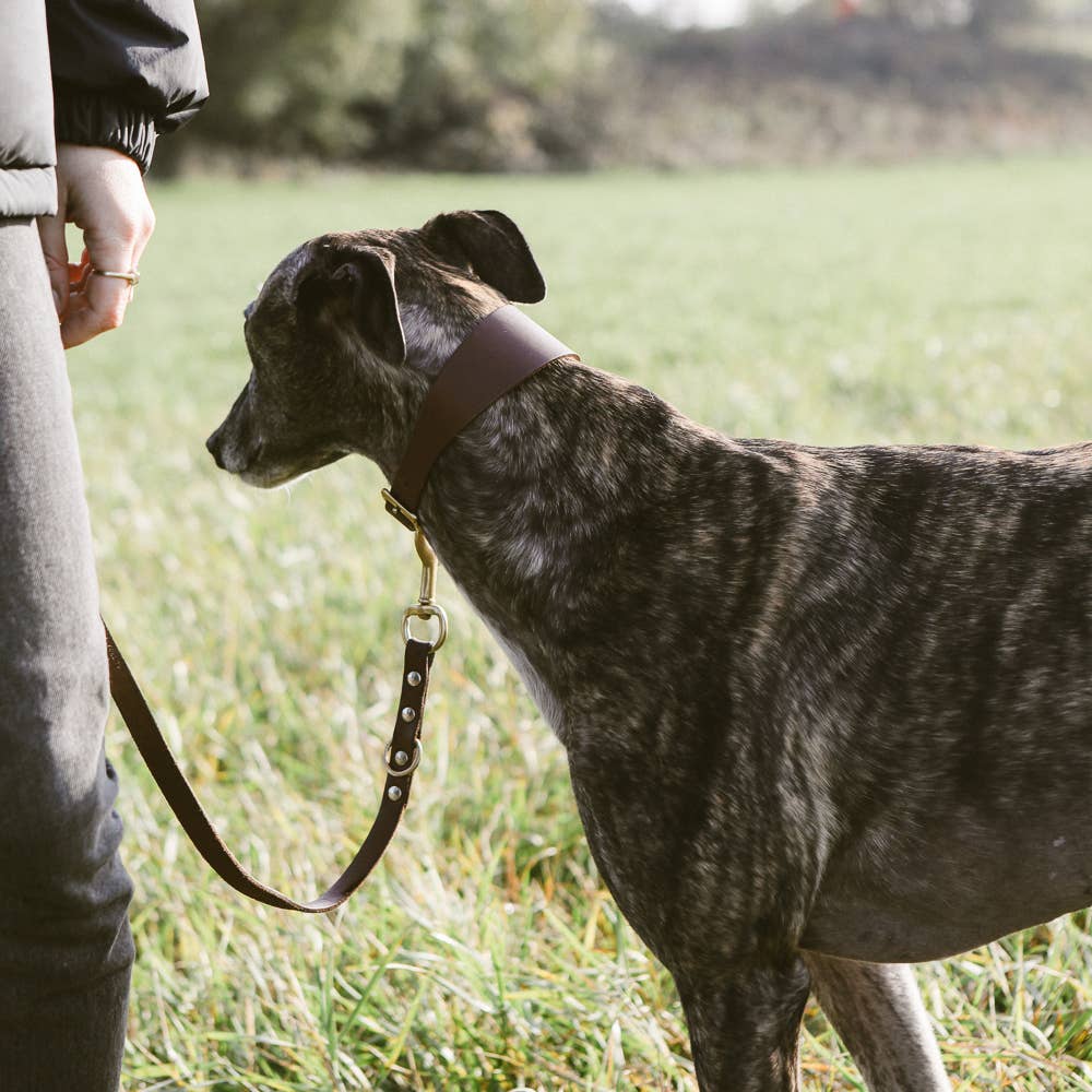 Skinny leather dog leash (brown)