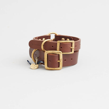 Leather dog collar (brown)