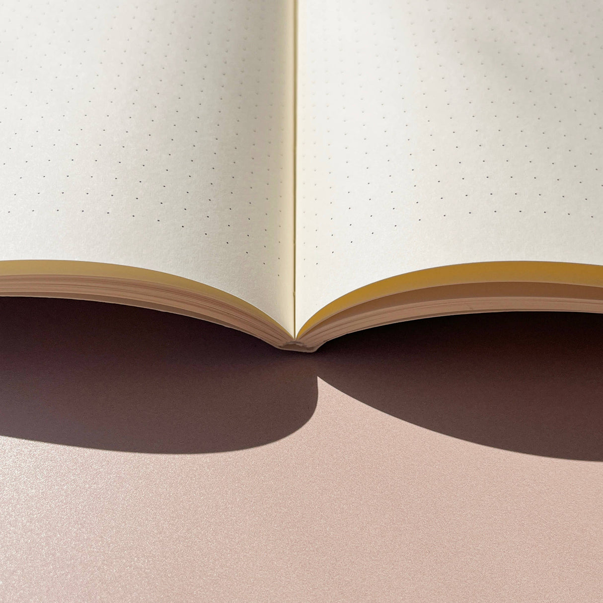 Dotted notebook (Jane)