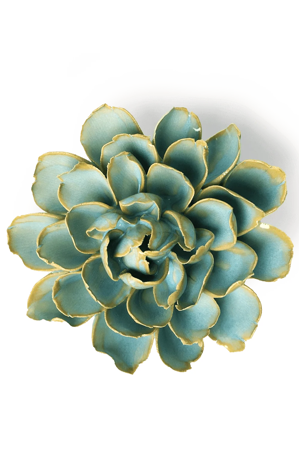 Robin's Egg Blue Marigold