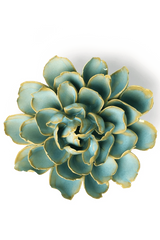 Robin's Egg Blue Marigold