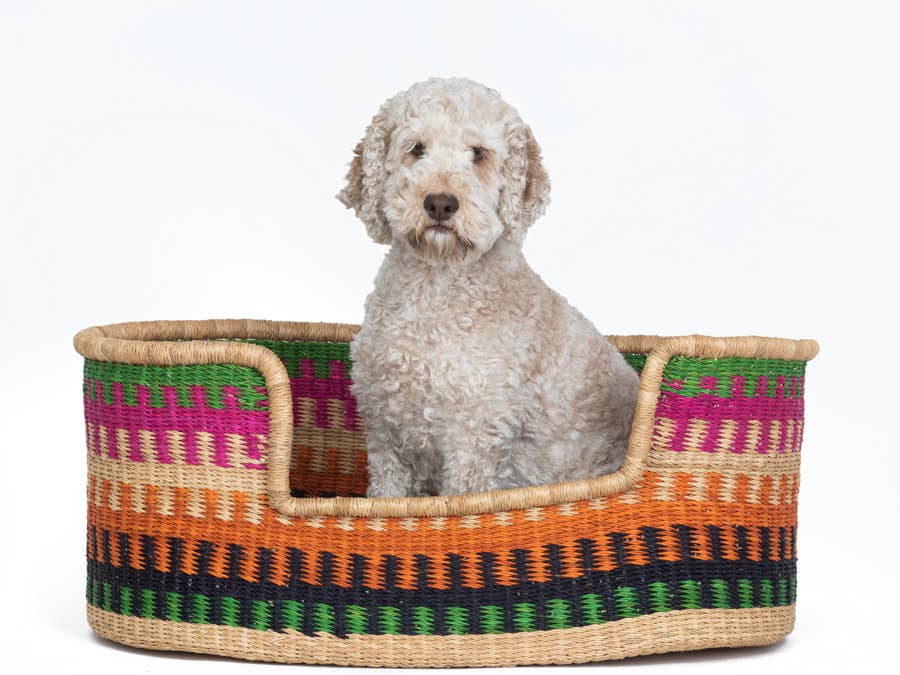 Handwoven pet basket