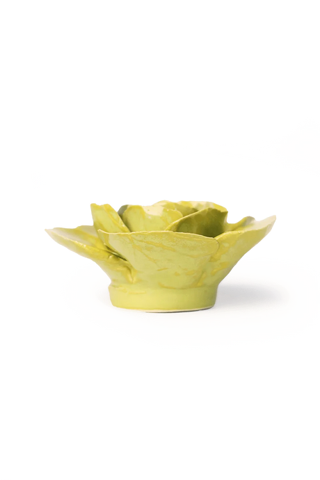 Peridot Stargazer Lily
