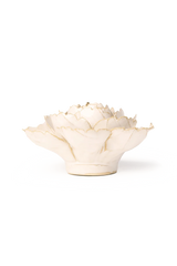 Ivory English Rose
