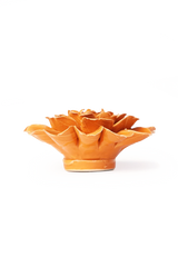 Orange Fiesta Marigold