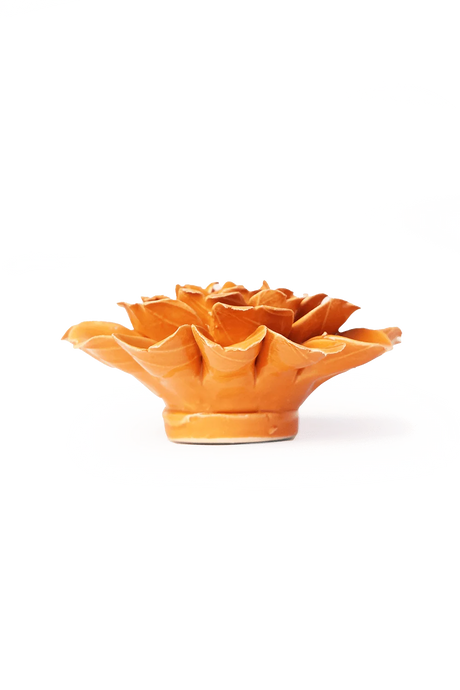 Orange Fiesta Marigold