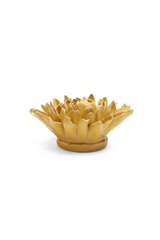 Buttercup Yellow Chrysanthemum