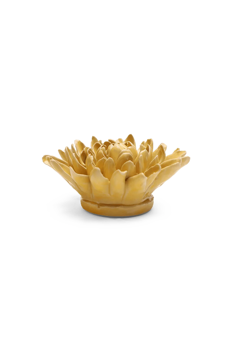 Buttercup Yellow Chrysanthemum