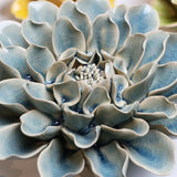 Powder Blue Aphrodite Dahlia