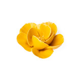 Burnt yellow poppy ceramic flower