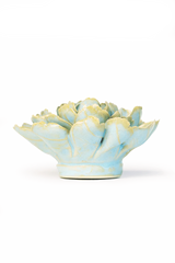 Robin's Egg Blue Marigold