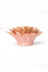 Rose Quartz Pink Strawflower