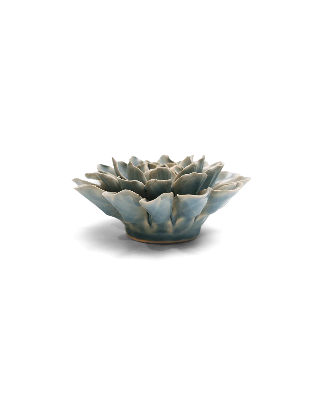 Powder Blue Aphrodite Dahlia