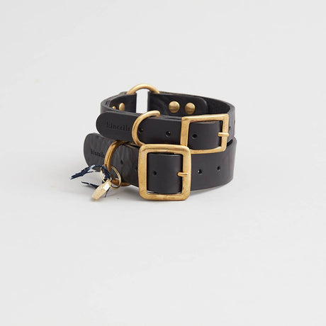 Leather dog collar (black)